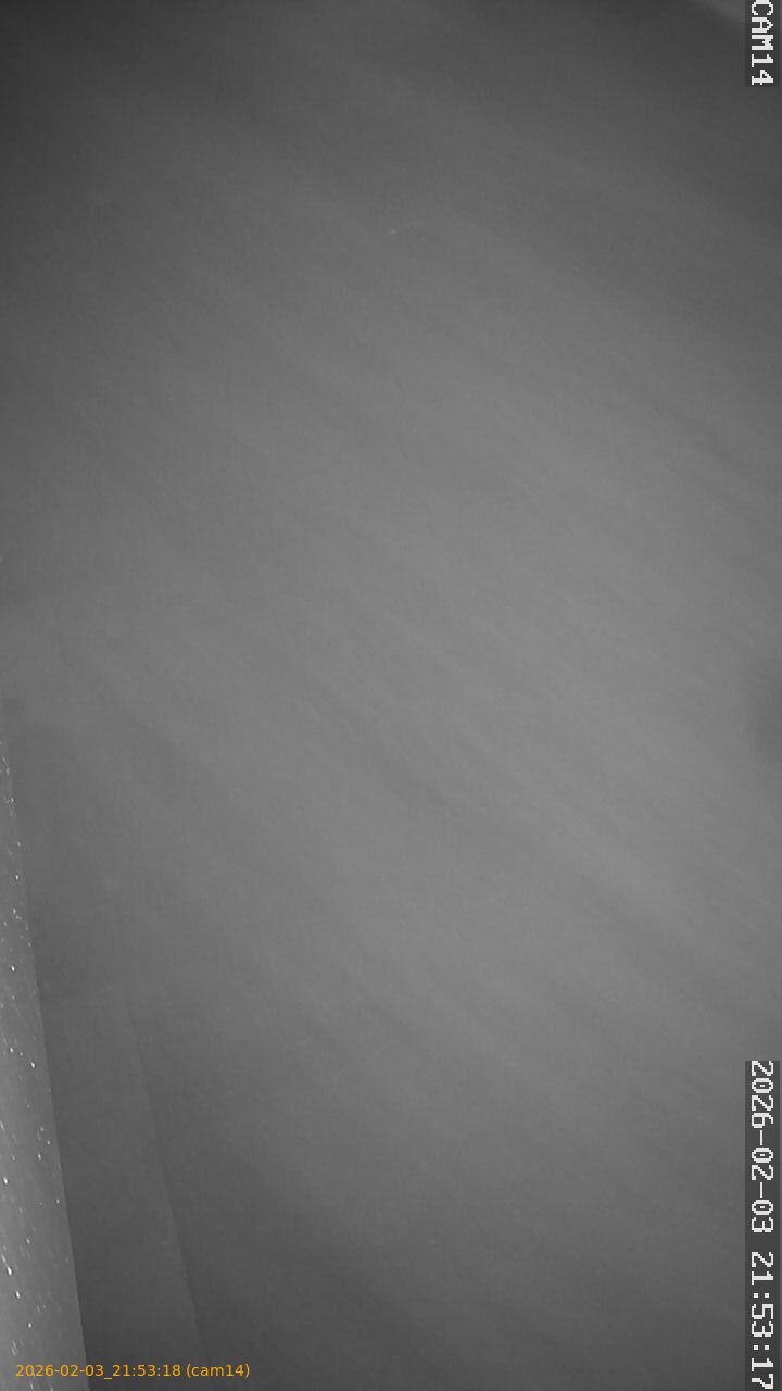 thumbnail_20260203215318