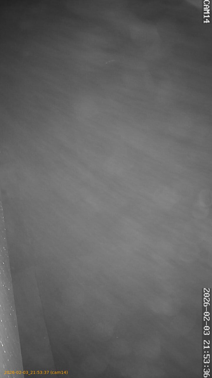 thumbnail_20260203215337