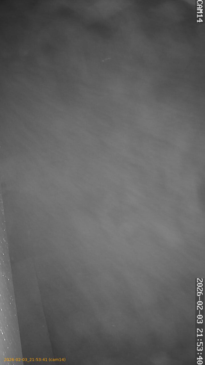 thumbnail_20260203215341