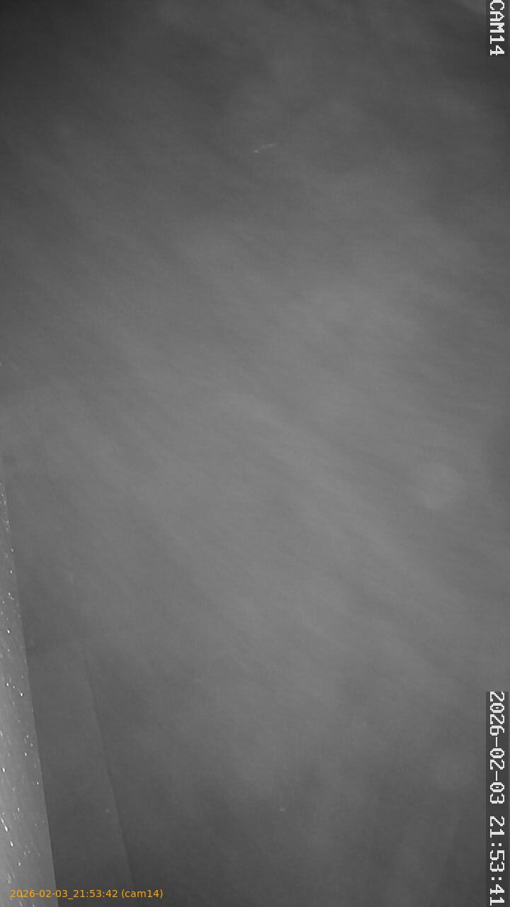 thumbnail_20260203215342