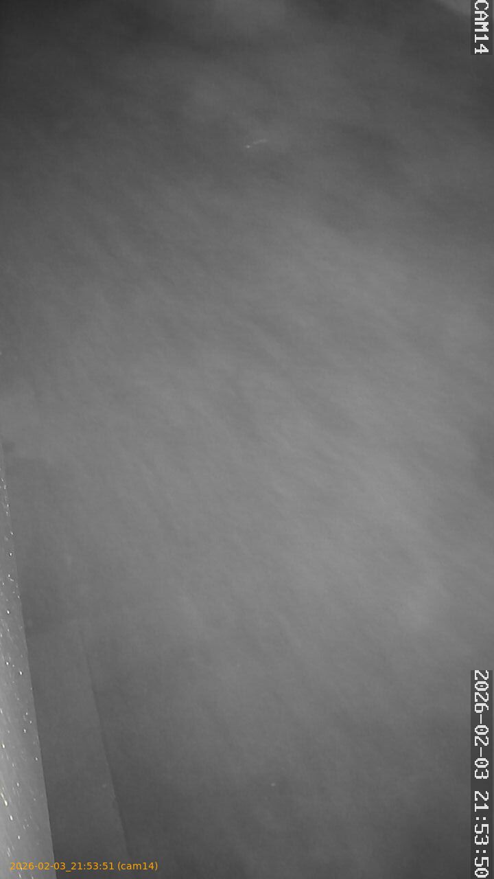 thumbnail_20260203215351