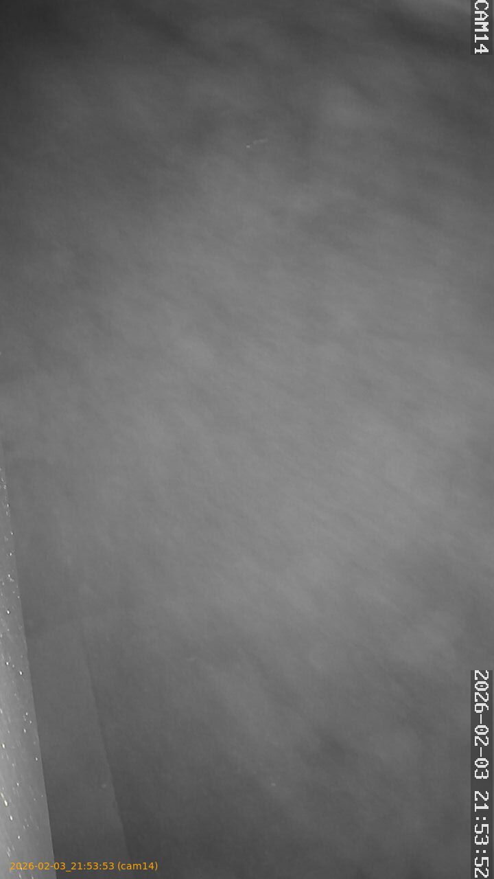 thumbnail_20260203215353