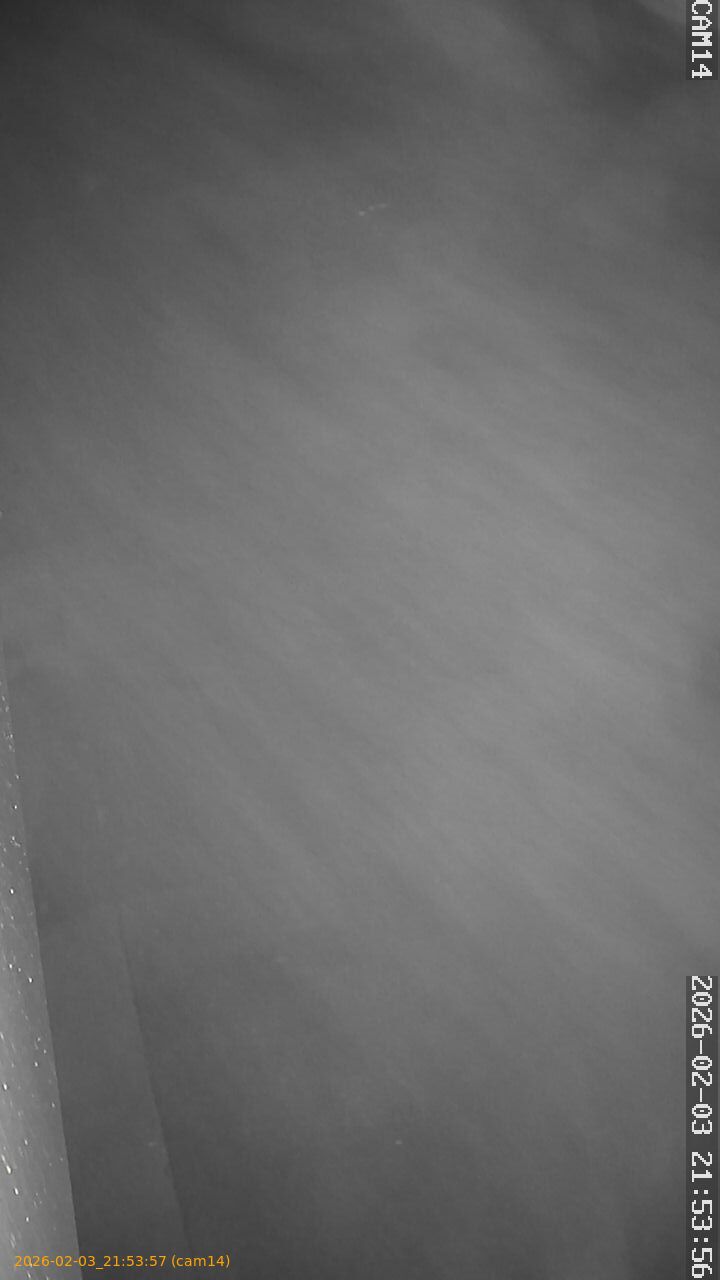 thumbnail_20260203215357