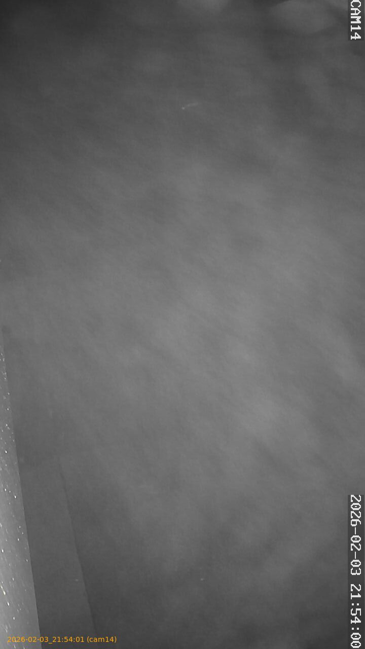 thumbnail_20260203215401