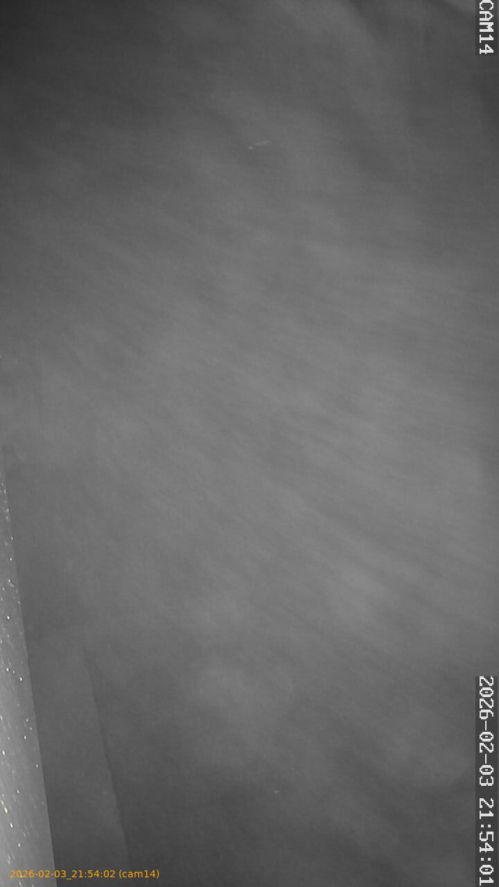 thumbnail_20260203215402