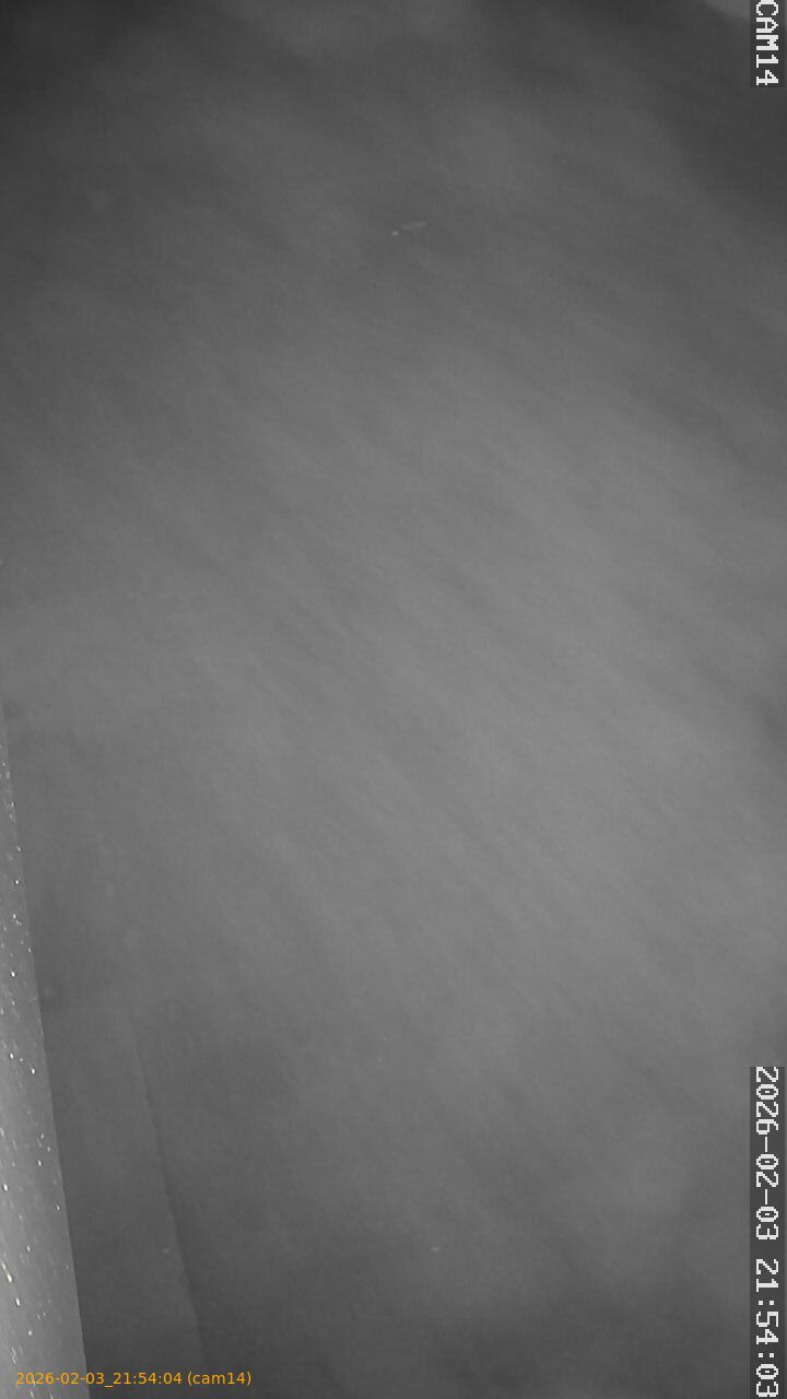 thumbnail_20260203215404