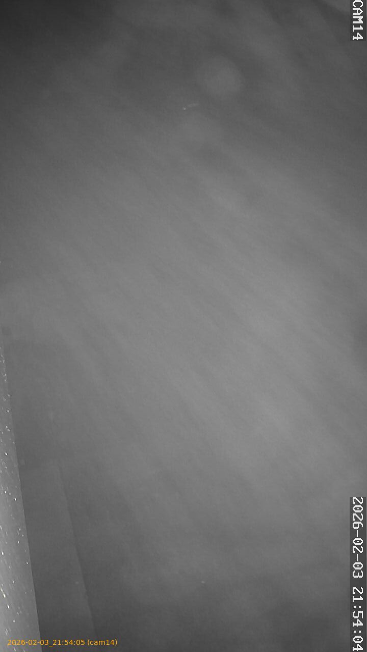 thumbnail_20260203215405