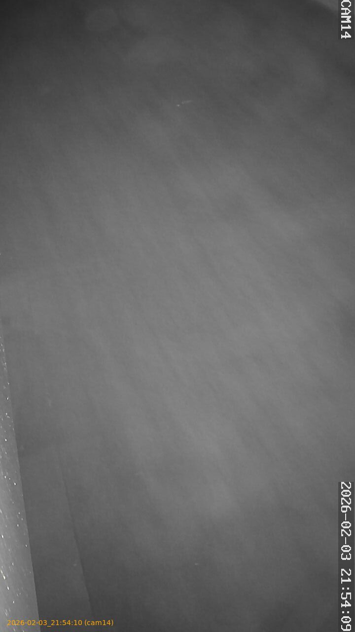 thumbnail_20260203215410