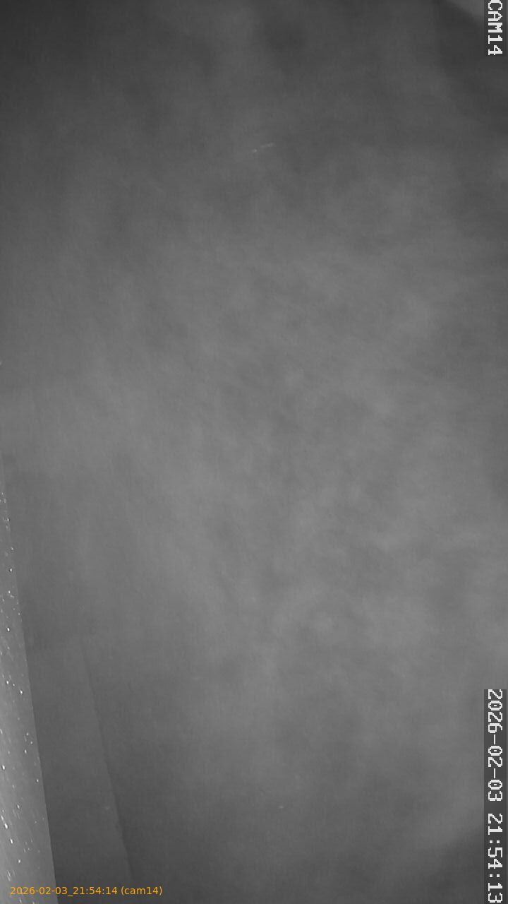 thumbnail_20260203215414