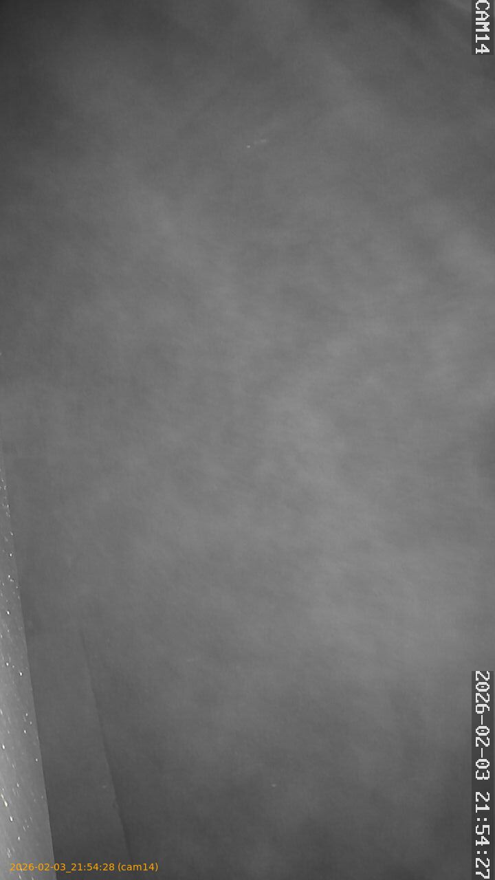 thumbnail_20260203215428