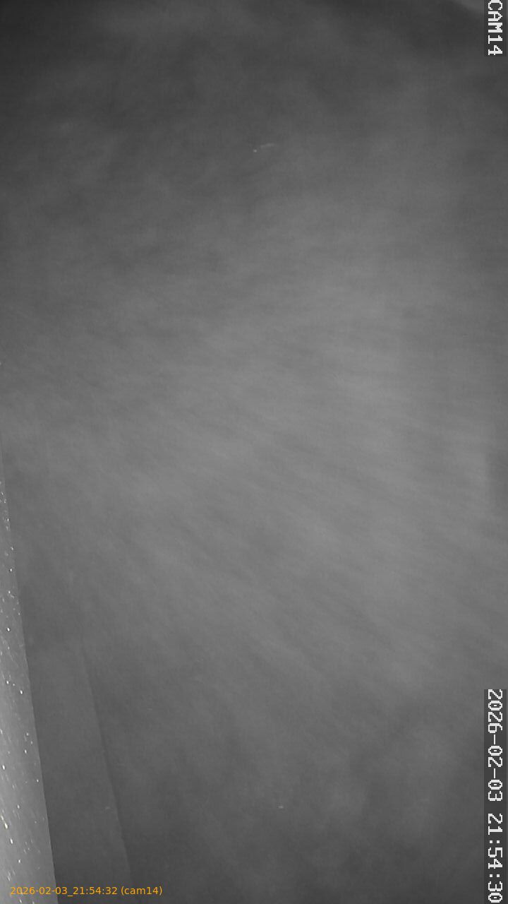 thumbnail_20260203215431