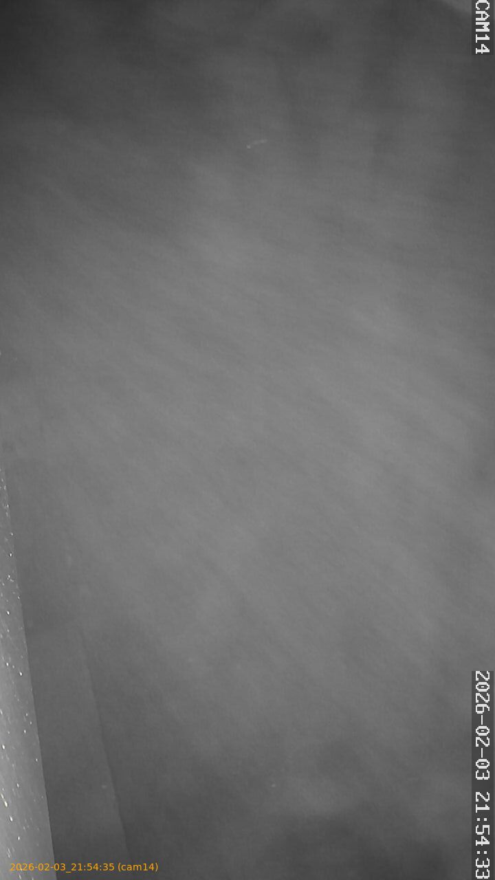 thumbnail_20260203215434