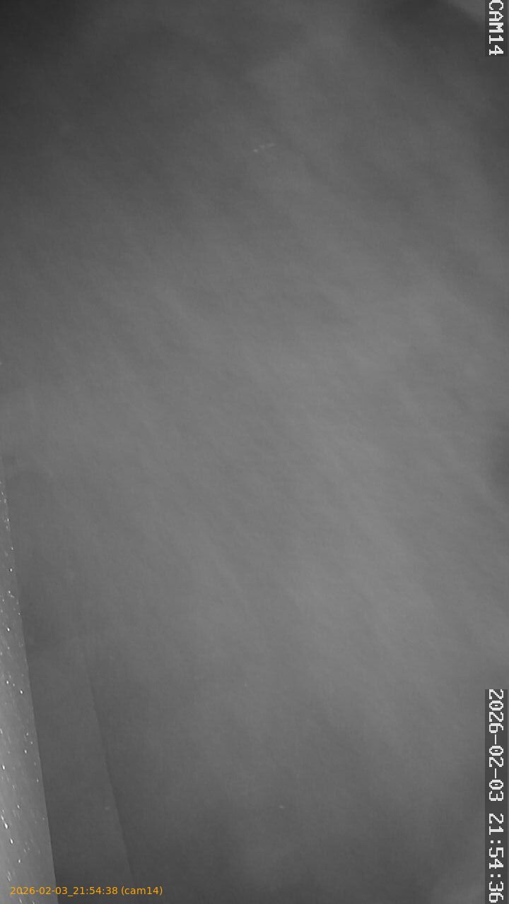 thumbnail_20260203215438