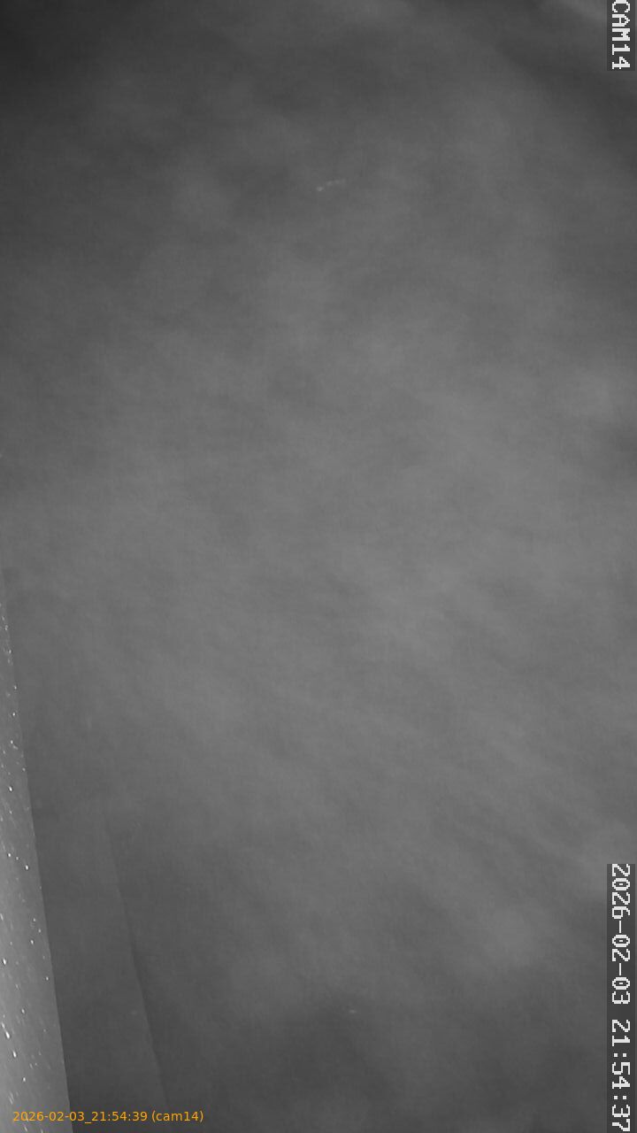 thumbnail_20260203215439