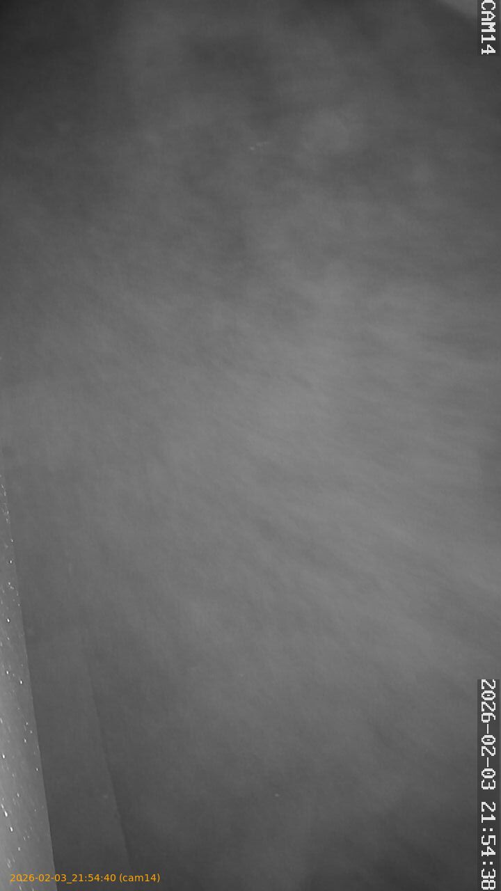 thumbnail_20260203215440