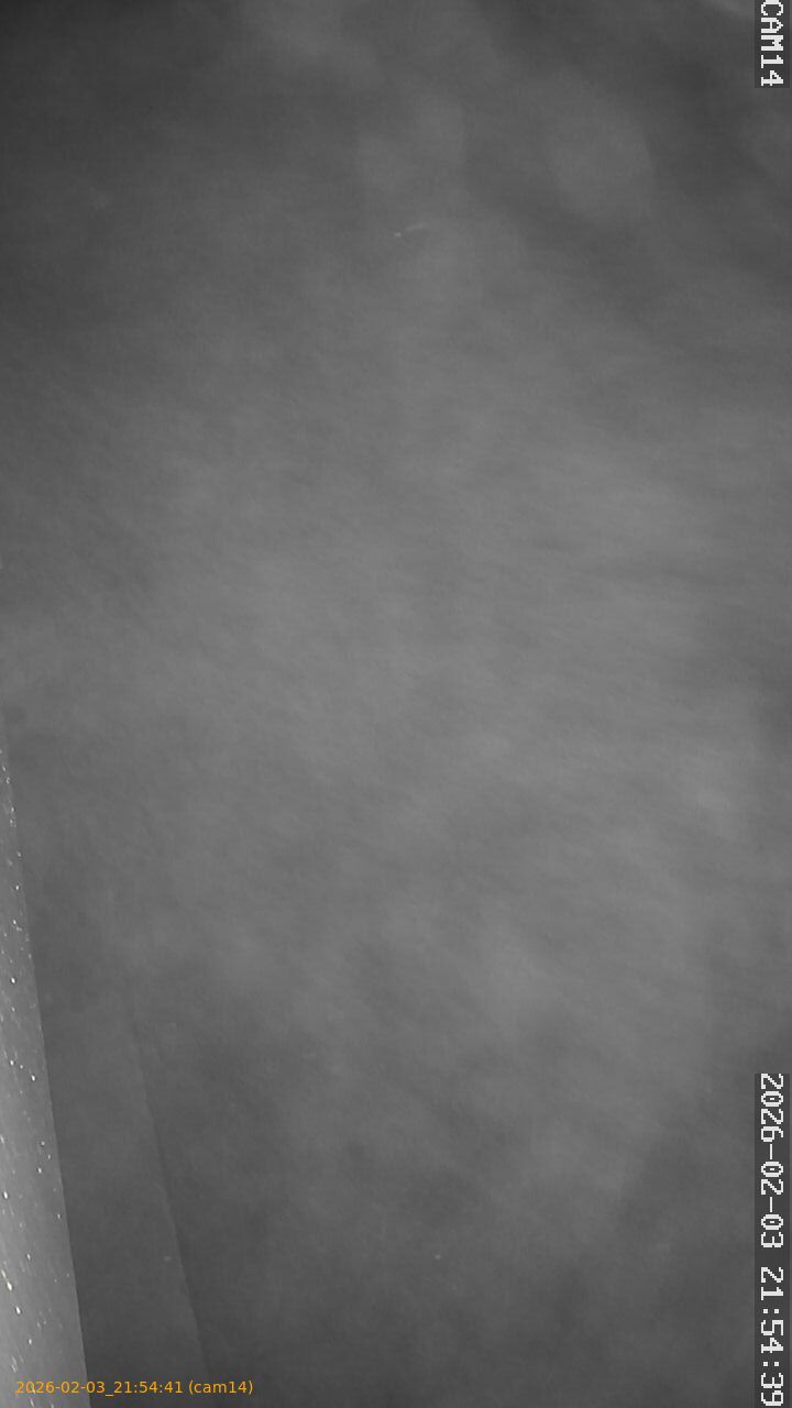 thumbnail_20260203215441