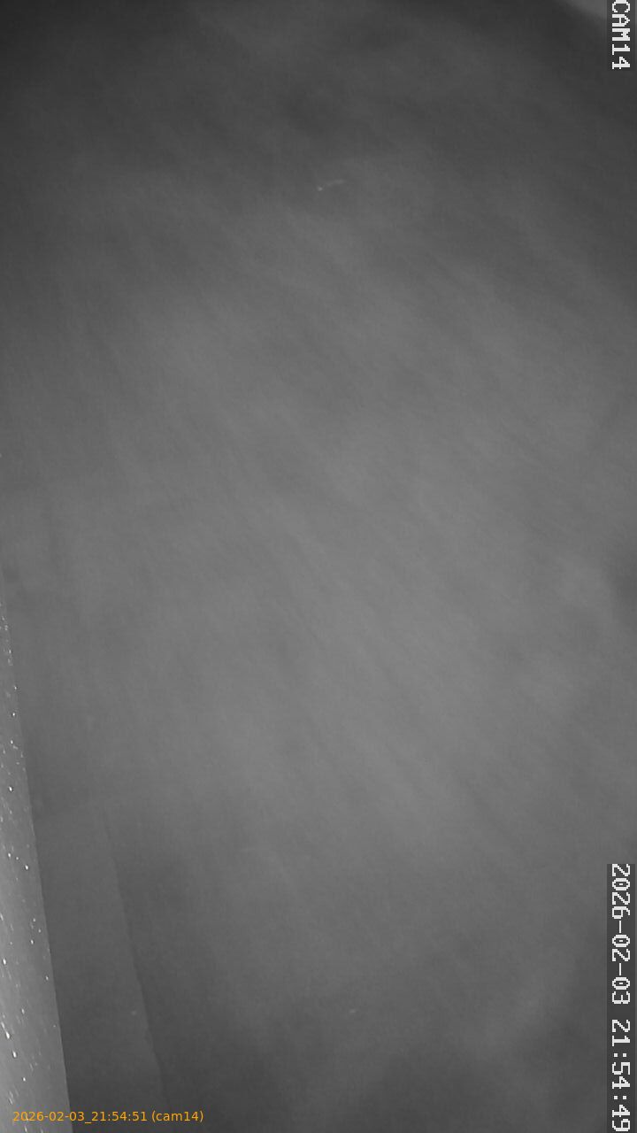 thumbnail_20260203215451