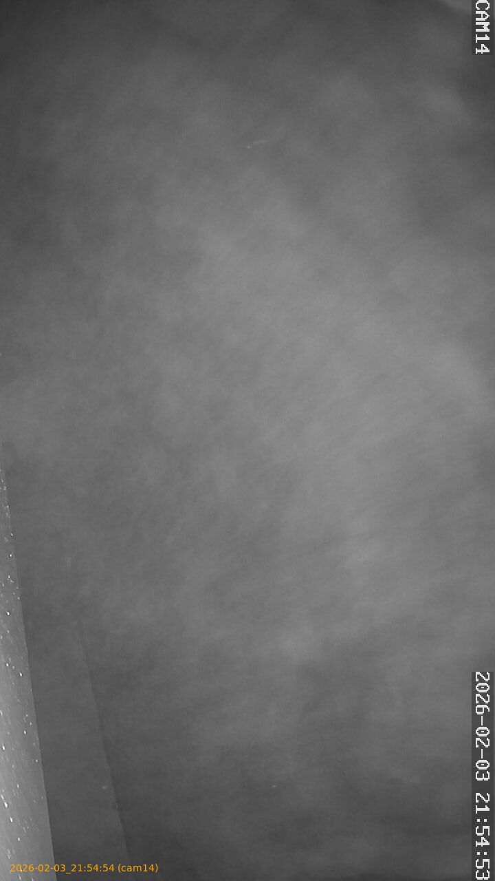 thumbnail_20260203215454