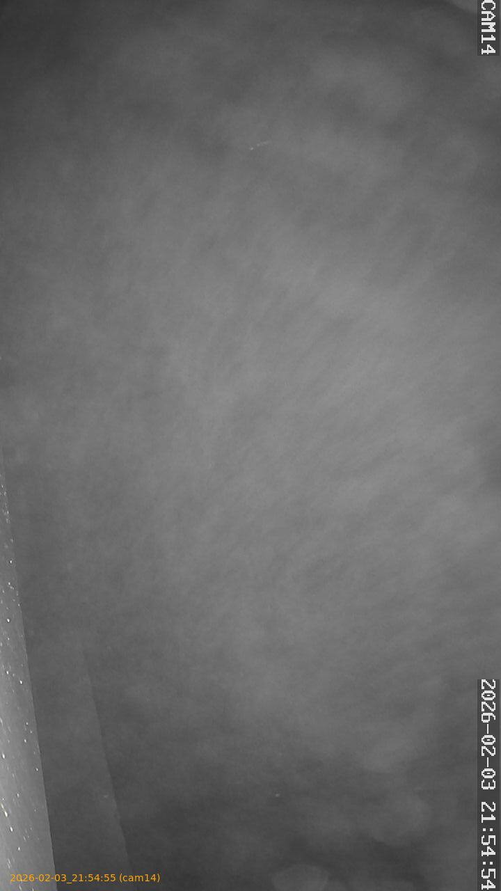 thumbnail_20260203215455