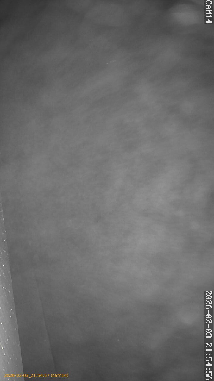 thumbnail_20260203215457