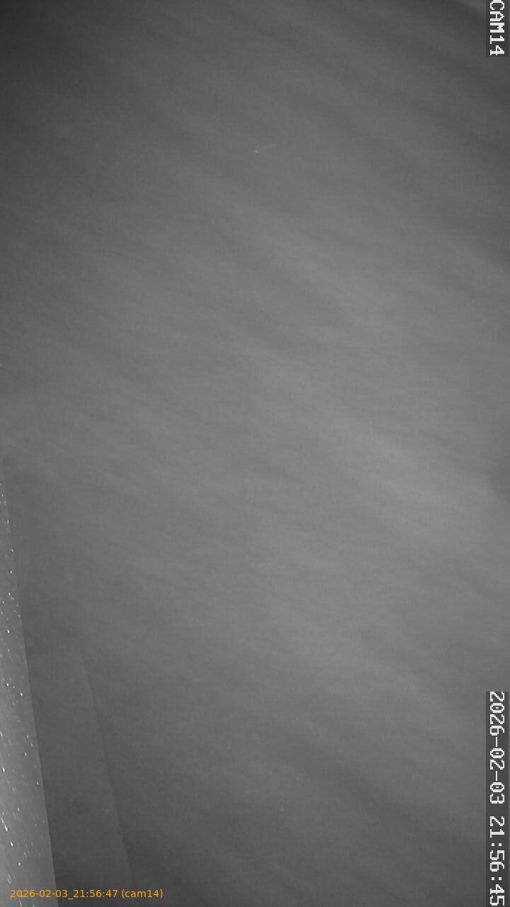 thumbnail_20260203215647