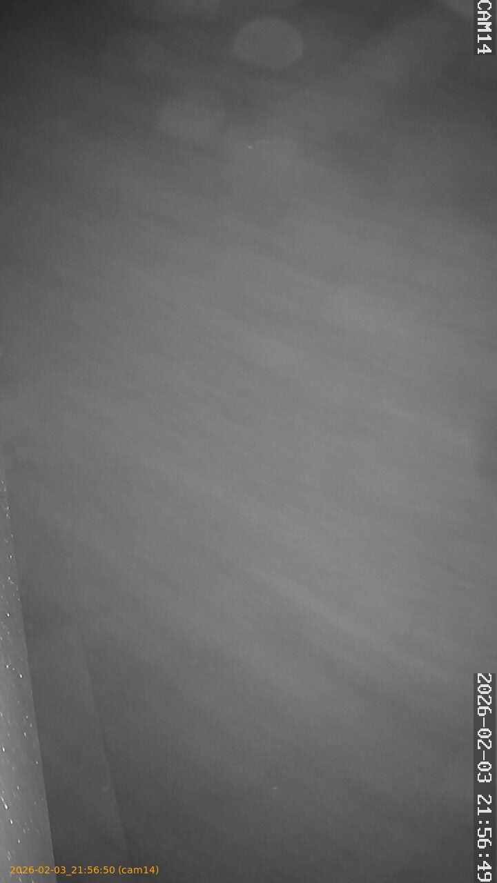 thumbnail_20260203215650