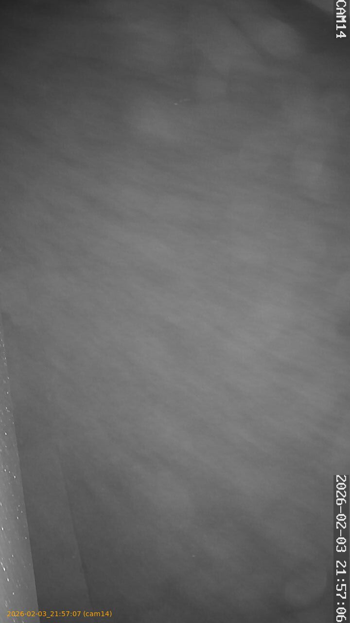 thumbnail_20260203215707