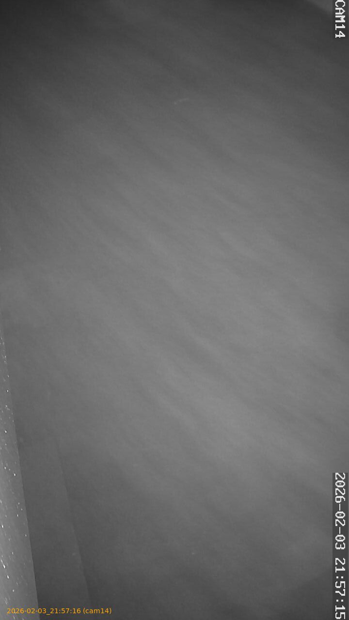 thumbnail_20260203215716