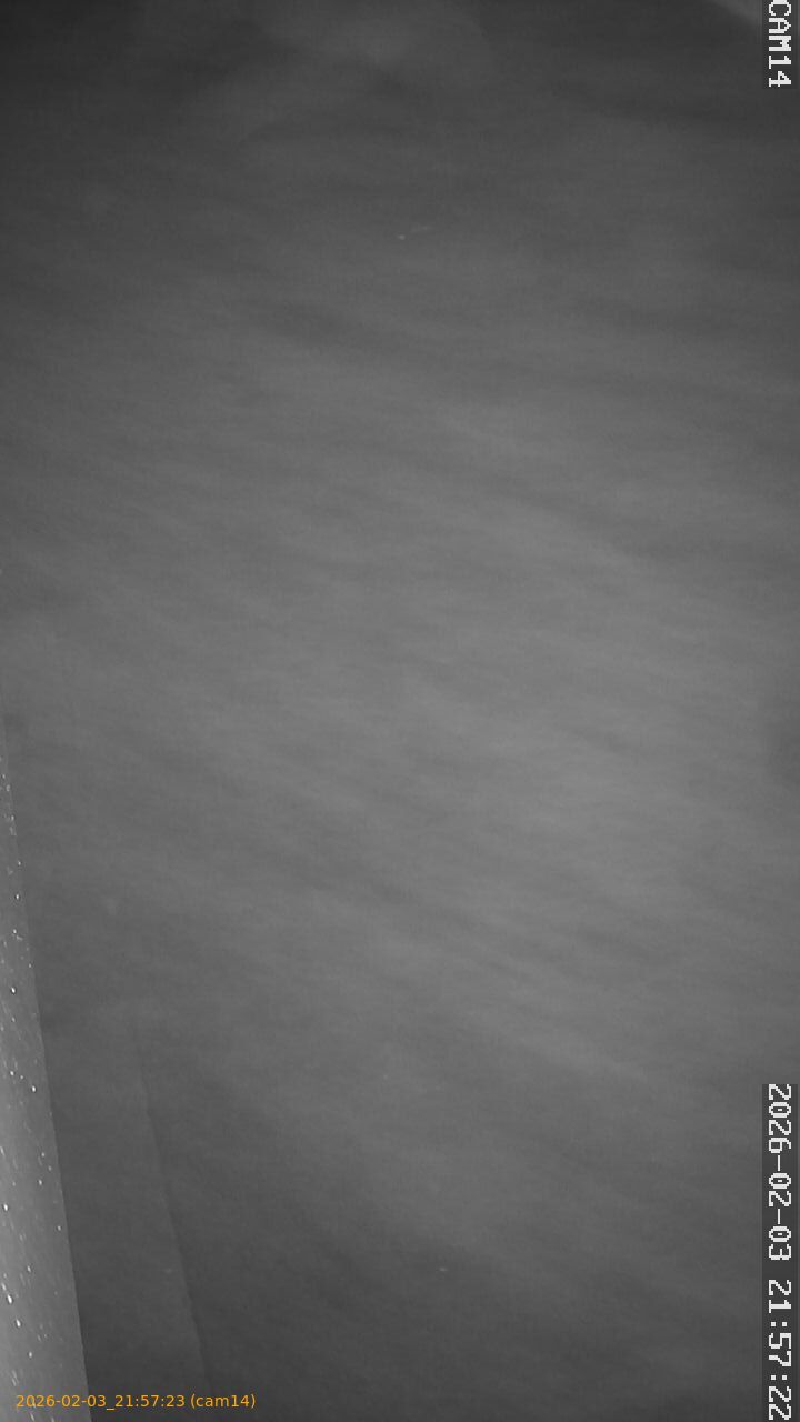 thumbnail_20260203215723