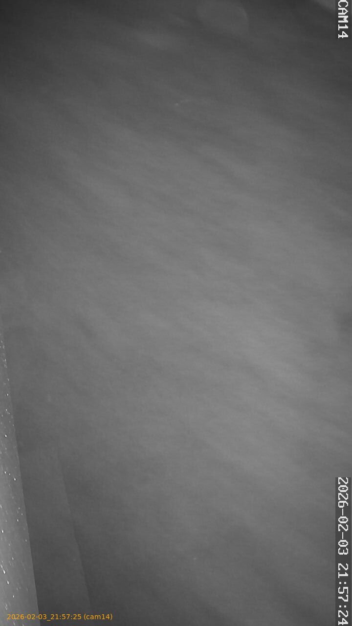 thumbnail_20260203215725