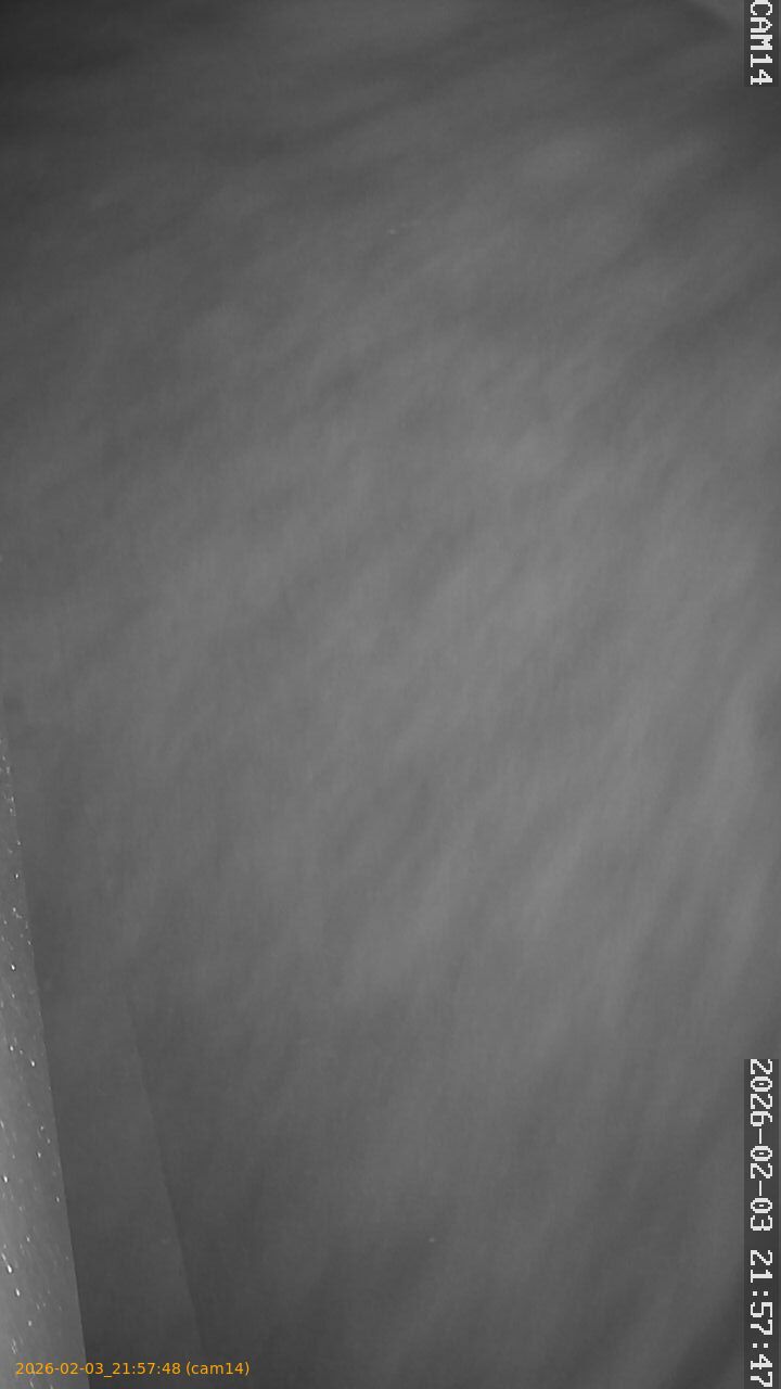 thumbnail_20260203215748