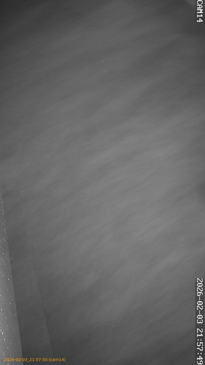 thumbnail_20260203215750