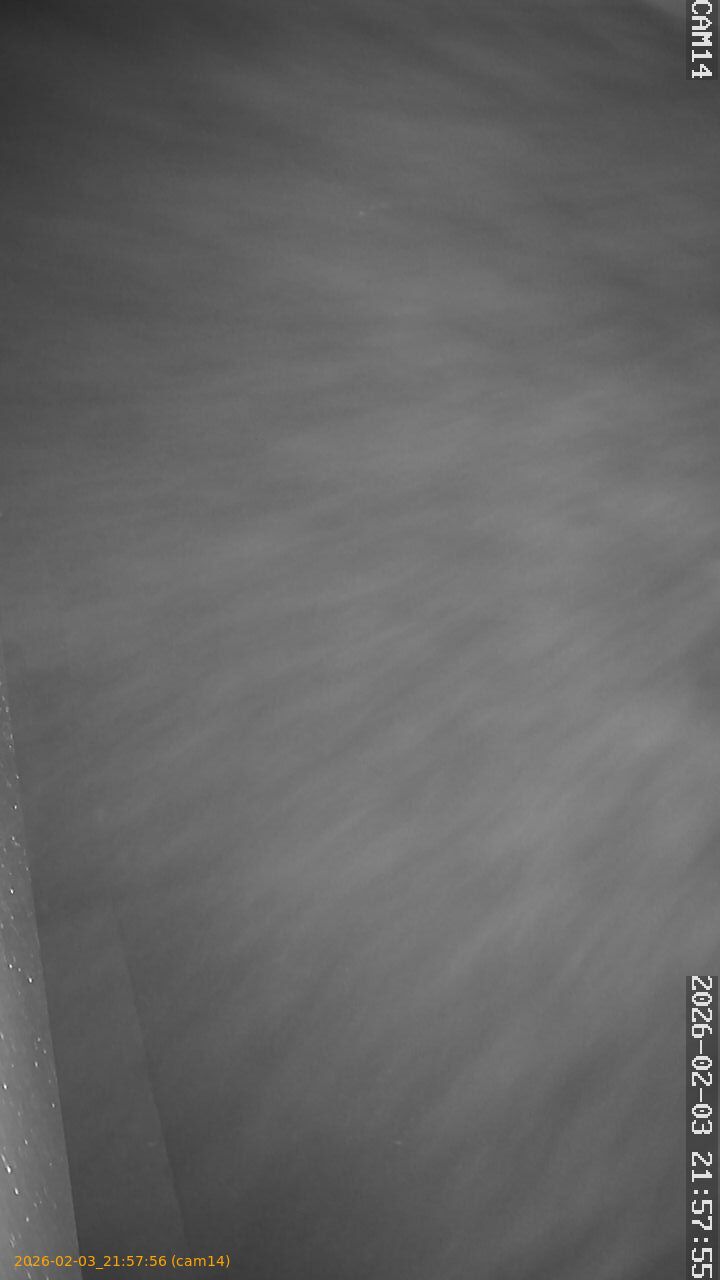 thumbnail_20260203215756