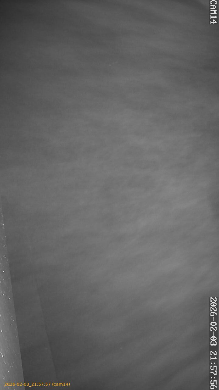 thumbnail_20260203215757