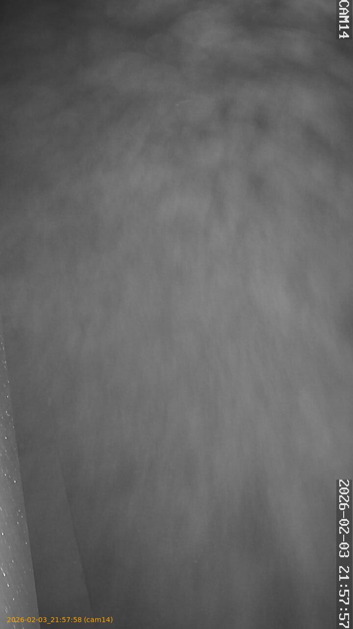 thumbnail_20260203215758