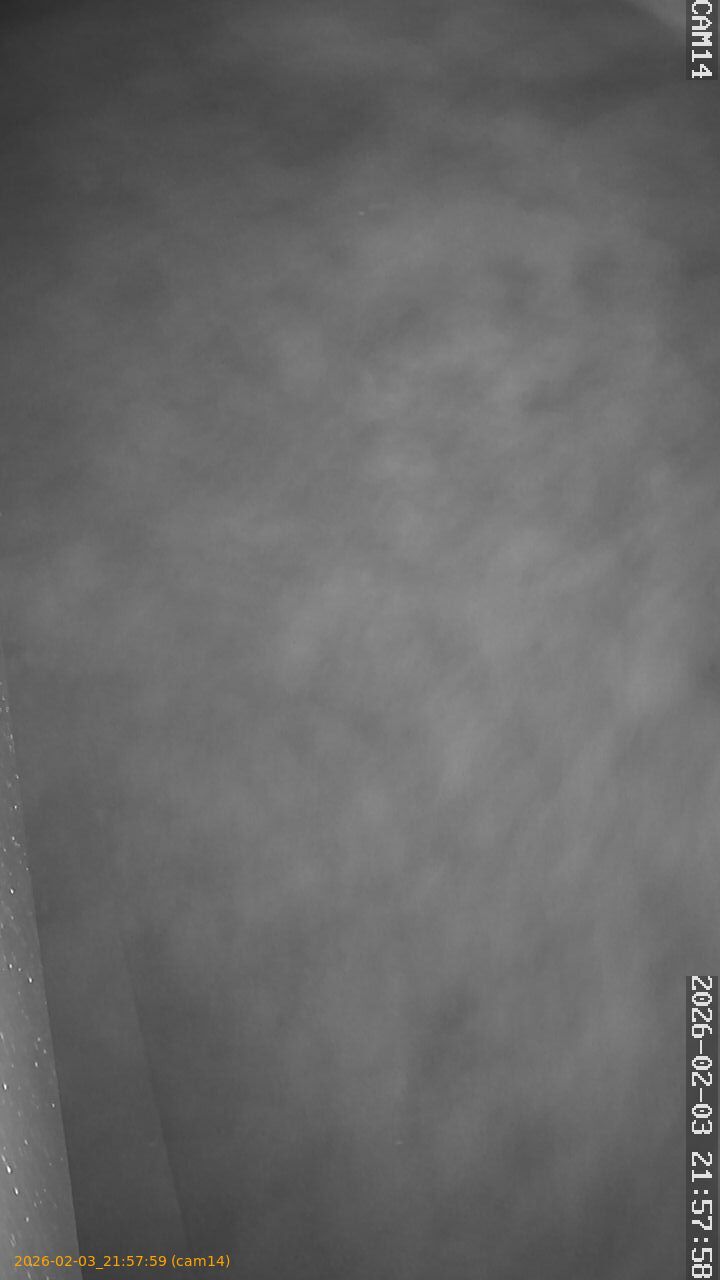 thumbnail_20260203215759