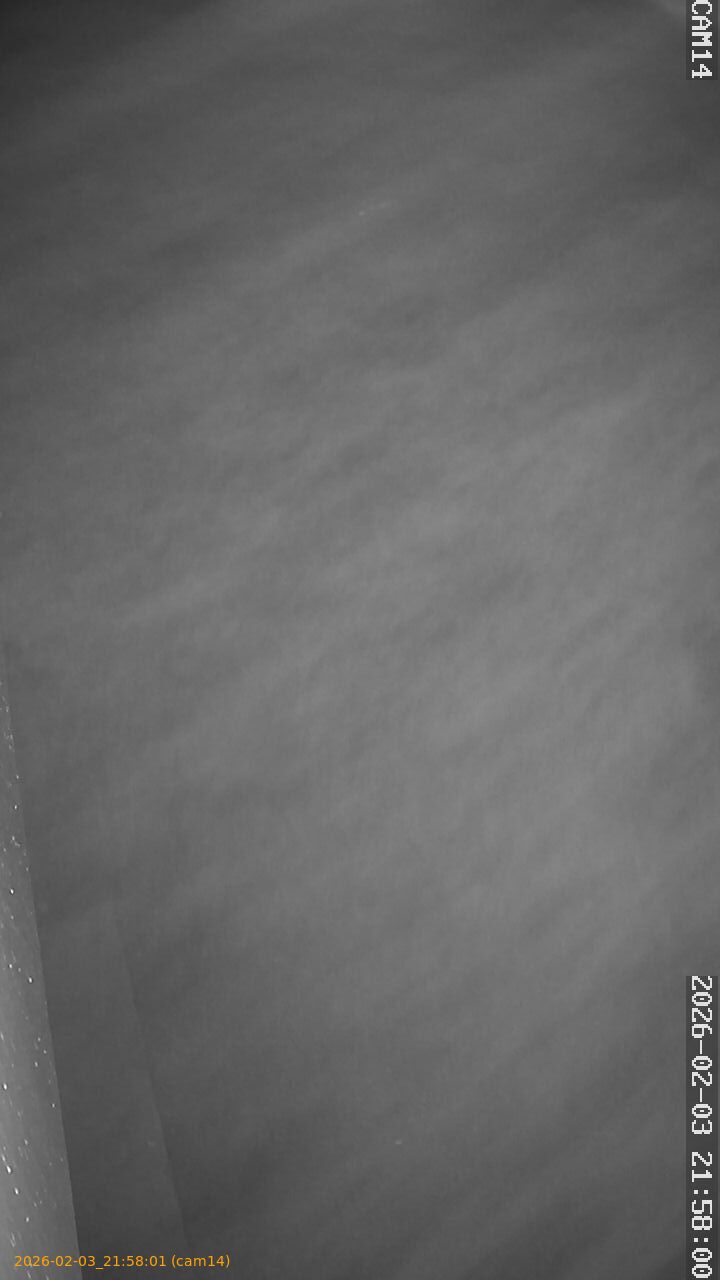 thumbnail_20260203215801