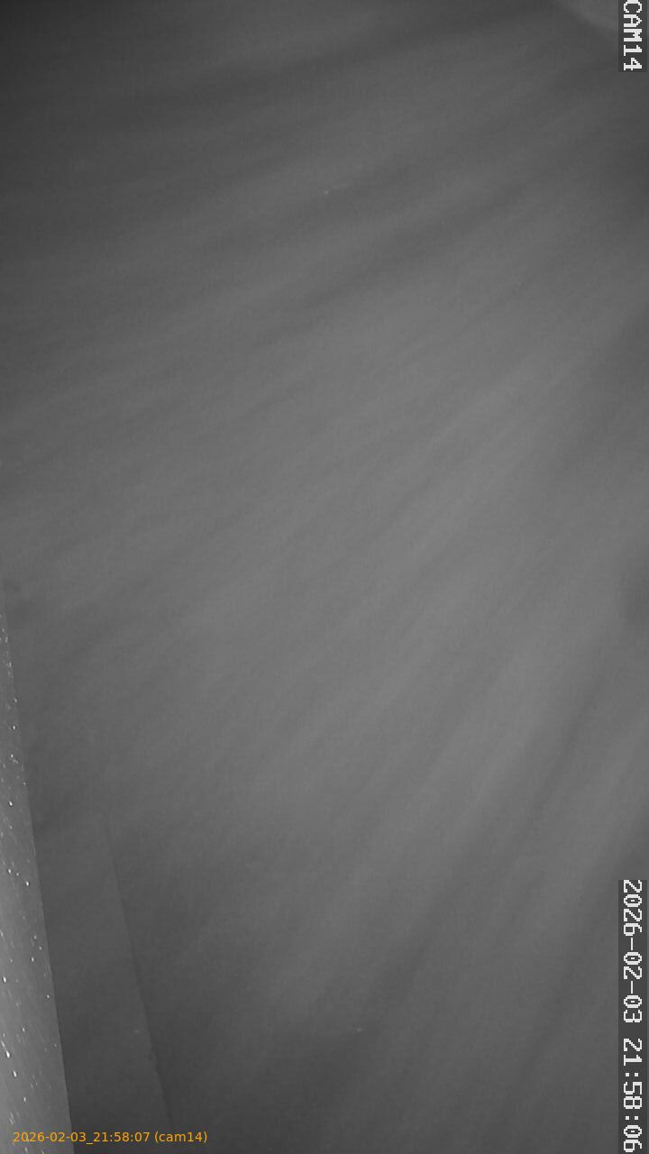 thumbnail_20260203215807