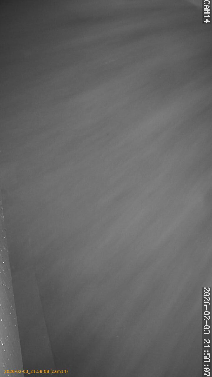 thumbnail_20260203215808