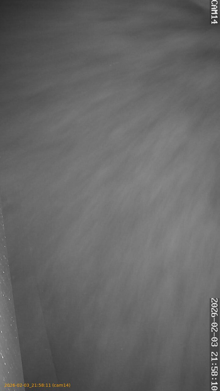 thumbnail_20260203215811