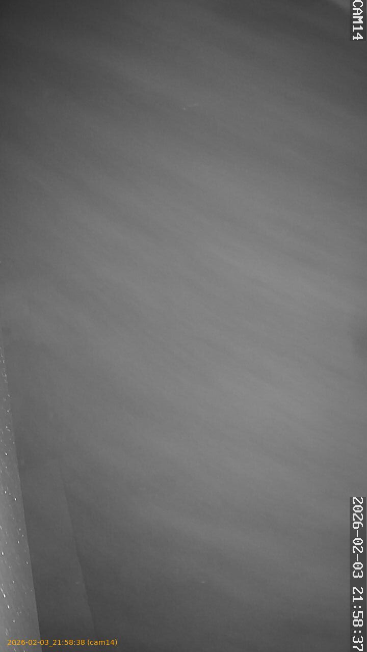 thumbnail_20260203215838