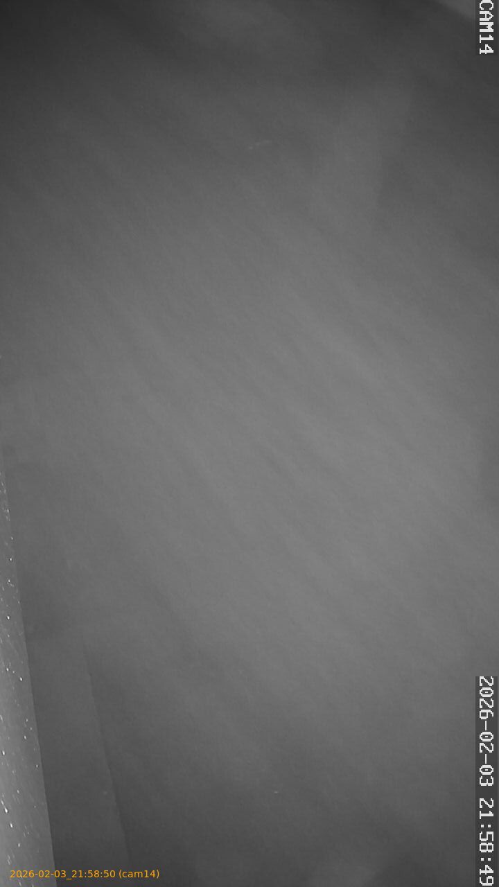 thumbnail_20260203215850