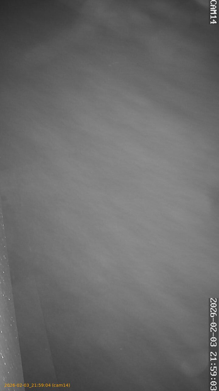 thumbnail_20260203215904