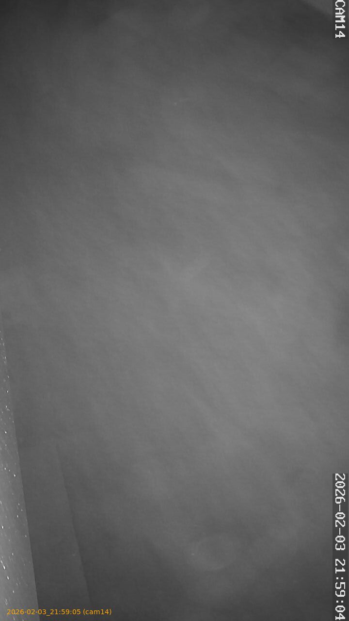 thumbnail_20260203215905