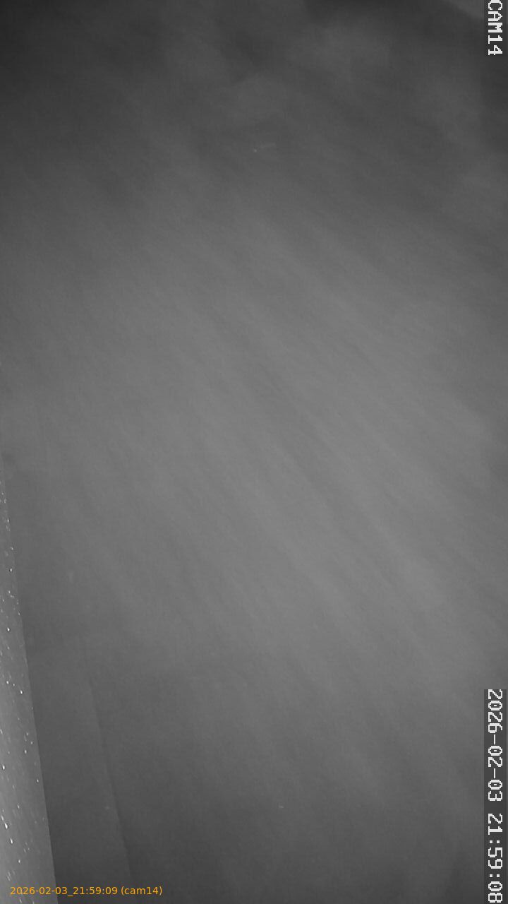 thumbnail_20260203215909