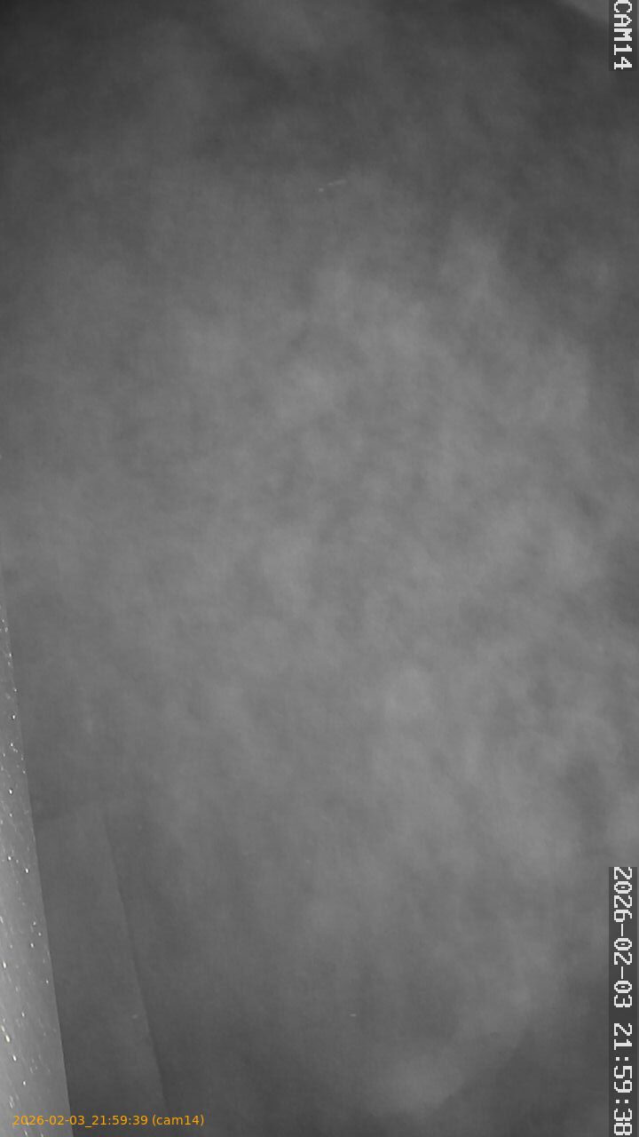 thumbnail_20260203215939