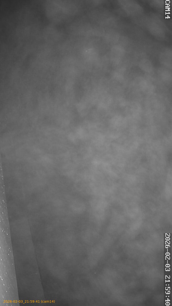 thumbnail_20260203215941