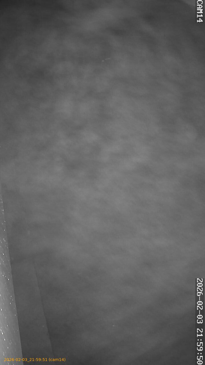 thumbnail_20260203215951