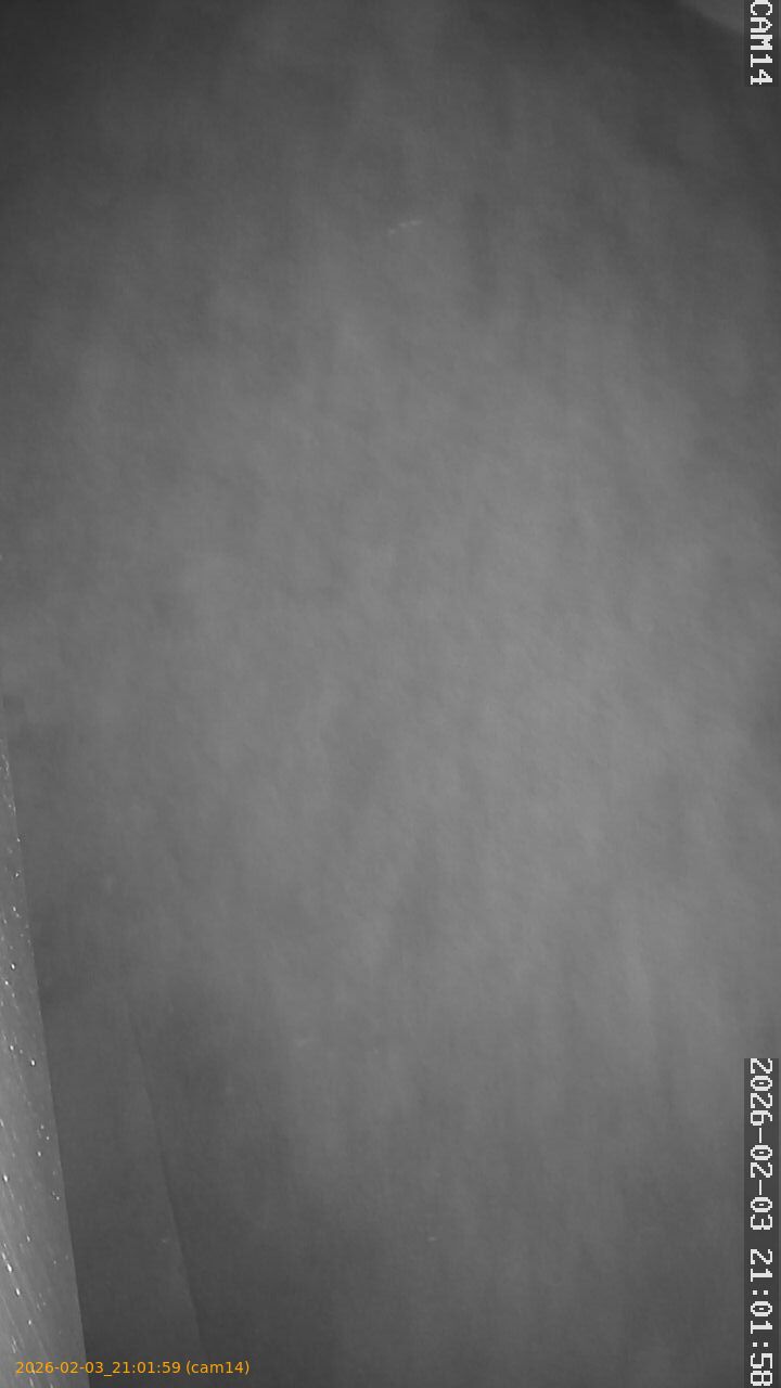 thumbnail_202602032101