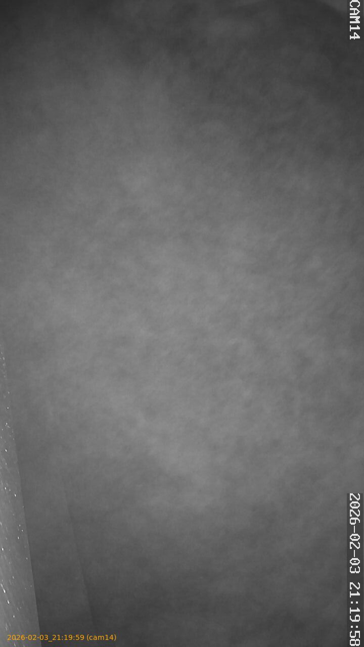 thumbnail_202602032119